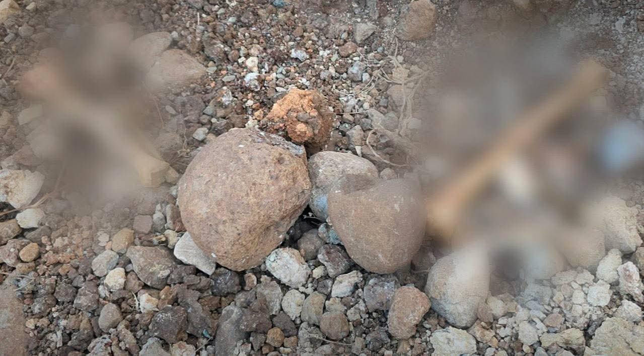 FB_IMG_1759667716518