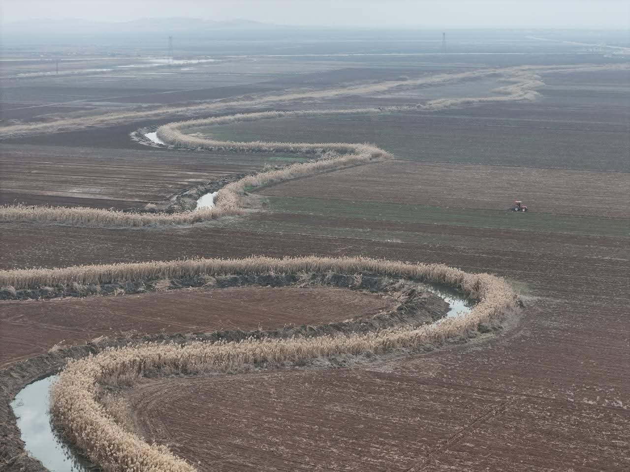 FB_IMG_1762783760976